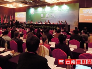 全球茶魁相聚杭州