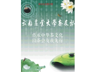 云南农业大学茶友社