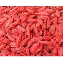 枸杞批发|枸杞价格|枸杞哪里有卖