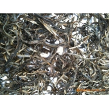 新班章    勐海县傣升茶厂出品