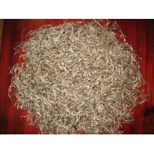 云瑞祥 沙卡白毫     中国·昆明沙卡青茶业出品