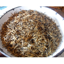 滇红大金芽   海翔茶业经营部出售