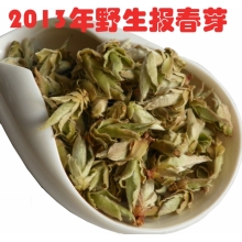 普洱茶 2013年春茶 野生茶 茶玉堂报春芽 批发有大货